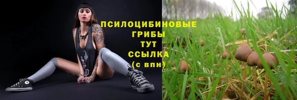 винт Баксан