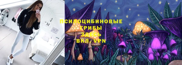 винт Баксан