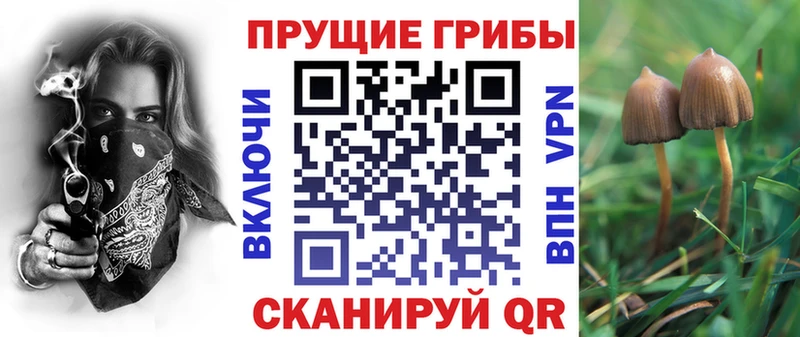 сайты даркнета как зайти  где продают наркотики  Кудрово  Псилоцибиновые грибы GOLDEN TEACHER 