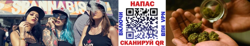 mega ссылка  Кудрово  Бошки марихуана индика 